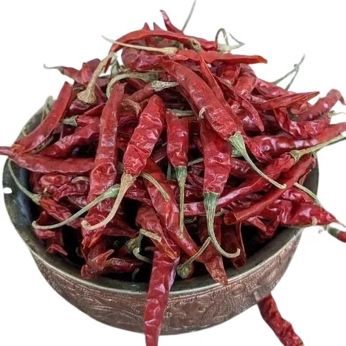 Guntur Chilli